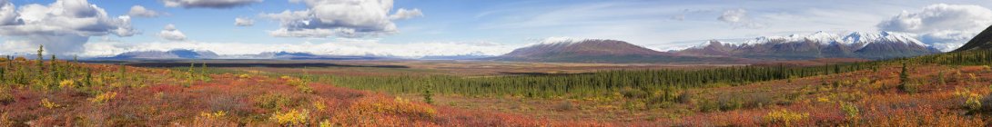 Autumn landscape and Alaska Range on background, Alaska, USA — Stock Photo