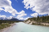 Canada, alberta, jaspis nationalpark, banff nationalpark, icefields parkway, saskatchewan river — Stockfoto