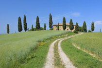 Italie, Toscane, Province de Sienne, Val dOrcia, Pienza, vue sur la route de terre à travers les champs avec ferme et cyprès — Photo de stock