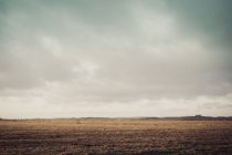 Germania, Meclemburgo-Pomerania occidentale, Ruegen, Campi d'inverno diurno — Foto stock