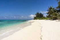Seychelles, Northern Coral Group, Denis Island, Beach — Stock Photo