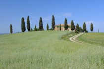 Italia, Toscana, provincia di Siena, Val dOrcia, Pienza, vista su strada sterrata attraverso campi con casali e cipressi — Foto stock