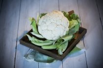 Fresh Cauliflower on wooden plate on grey wood — Stock Photo