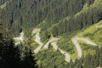 Austria, Vorarlberg, Montafon, Grossvermunt, Silvretta Alta Via Alpina circondata da alberi durante il giorno — Foto stock