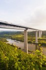 Германия, Кобленц, вид на мост Мозель Виадук, пересекающий долину Мозель — стоковое фото