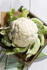 Fresh white Cauliflower on wooden plate — Stock Photo
