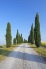 Italia, Toscana, provincia de Siena, Creta Senesi, vista al camino de tierra bordeado de cipreses - foto de stock
