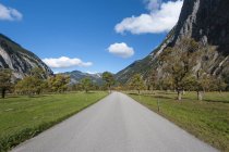 Áustria, Tirol, alpino Karwendel Park, estrada através do assoalho do grande maple — Fotografia de Stock