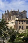 Espanha, Maiorca, Palma, Catedral de La Seu durante o dia — Fotografia de Stock