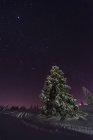 Германия, Баден-Вюртемберг, Фельдберг, зимний пейзаж ночью — стоковое фото