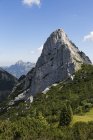 Германия, Бавария, Мангфолл-Маунтинс, Рухенкоепфе близ Байришцелля — стоковое фото