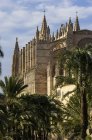 Espanha, Maiorca, Palma, Catedral de La Seu durante o dia — Fotografia de Stock