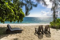 Seychelles, Northern Coral Group, Denis Island, Beach and sun loungers — Stock Photo