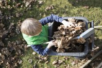 Boy filling autumn foliage in a garbage can — Stock Photo