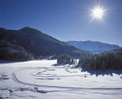 Alemania, Baviera, Alta Baviera, Mangfall Mountains, esquí de fondo en la nieve - foto de stock