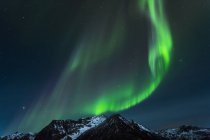 Luces polares (aurora boreal) en Gimsoy, Lofoten, Noruega - foto de stock