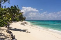 Seychelles, Northern Coral Group, Denis Island, Playa privada durante el día - foto de stock