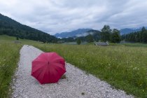 Германия, Бавария, Werdenfelser Land, Red open umbrella on hiking trail at Geroldsee — стоковое фото