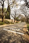 South Africa, Johannesburg,  Street in Parkview district with bare trees and road in sunshine weather day — Stock Photo
