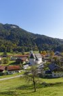 Alemania, Chiemgau, Vista de Sachrang y árboles en el fondo - foto de stock