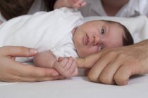 Портрет новонародженої дитини дівчина руками батька і матері — Stock Photo