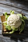 Fresh Cauliflower on wooden plate on shabby table — Stock Photo