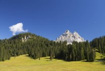 Itália, Veneto, Tre Cime di Lavaredo, árvores sobre campo de grama verde durante o dia — Fotografia de Stock