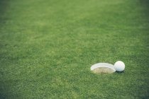 Balle de golf sur gazon sur terrain de jeu — Photo de stock