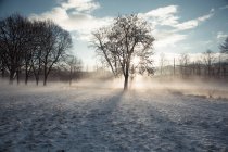 Allemagne, Bavière, Landshut, paysage d'hiver avec soleil du matin — Photo de stock
