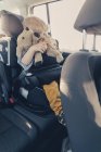 Little boy sitting in back-seat car seat, holding his stuffed animal — Stock Photo