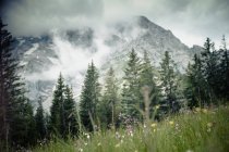 Deutschland, Bayern, Blick auf Bergwiese mit Alpen — Stockfoto