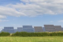 Alemania, Sajonia, Vista de los paneles solares sobre hierba verde - foto de stock