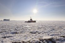 Германия, Гамбург, Вид на покрытую льдом реку Эльбу — стоковое фото
