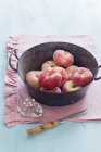Peaches in vintage cooking pot — Stock Photo