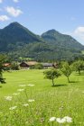 Дневной вид на сельские дома с альпами, Бавария, Германия , — стоковое фото
