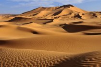 Алжир, Сахара, Вид на песчаные дюны — стоковое фото