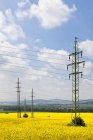 Blick auf Strommasten im Rapsfeld, Deutschland, Bayern, — Stockfoto