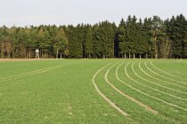 View of field and forest at daytime Bavaria, Germany — Stock Photo