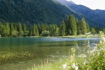 Vista del laghetto con alpi e abeti di giorno, Baviera, Germania — Foto stock