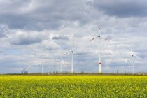 Turbina Eólica na Fazenda Eólica — Fotografia de Stock