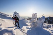 Allemagne, Bavière, Randonnée pédestre en montagne à la forêt bavaroise — Photo de stock