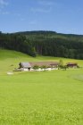 Дневной вид на сельские дома с альпами, Бавария, Германия , — стоковое фото