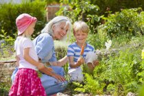Nonna con bambini che ispezionano carote in giardino — Foto stock