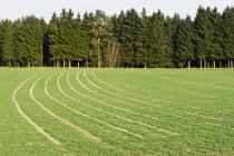 View of field and forest at daytime Bavaria, Germany — Stock Photo
