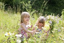 Mädchen pflücken Blumen auf der Sommerwiese in salzburg — Stockfoto