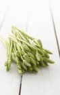 Wild green asparagus — Stock Photo