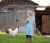 Menina bonito com frango na fazenda — Fotografia de Stock