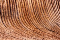 Германия, Доска из старого дерева, крупный план — стоковое фото