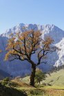 View of Karwendel Mountains at daytime, Tyrol, Austria — Stock Photo