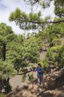 España, La, Palma, Mujer madura haciendo senderismo en el Parque Nacional Caldera de Taburiente - foto de stock
